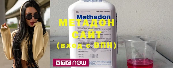 стаф Алзамай