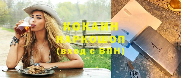стаф Алзамай