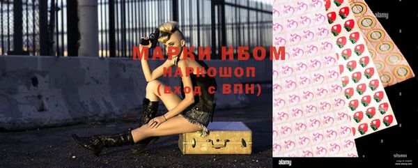 стаф Алзамай