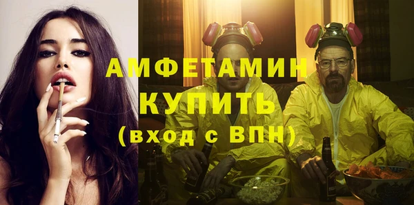 стаф Алзамай