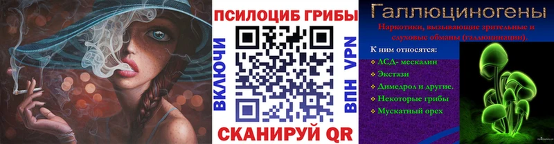 Псилоцибиновые грибы ЛСД  площадка наркотические препараты  Бодайбо  хочу наркоту 